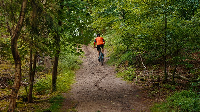 Mountainbikerytter kører op ad bakke mellem træerne i skoven